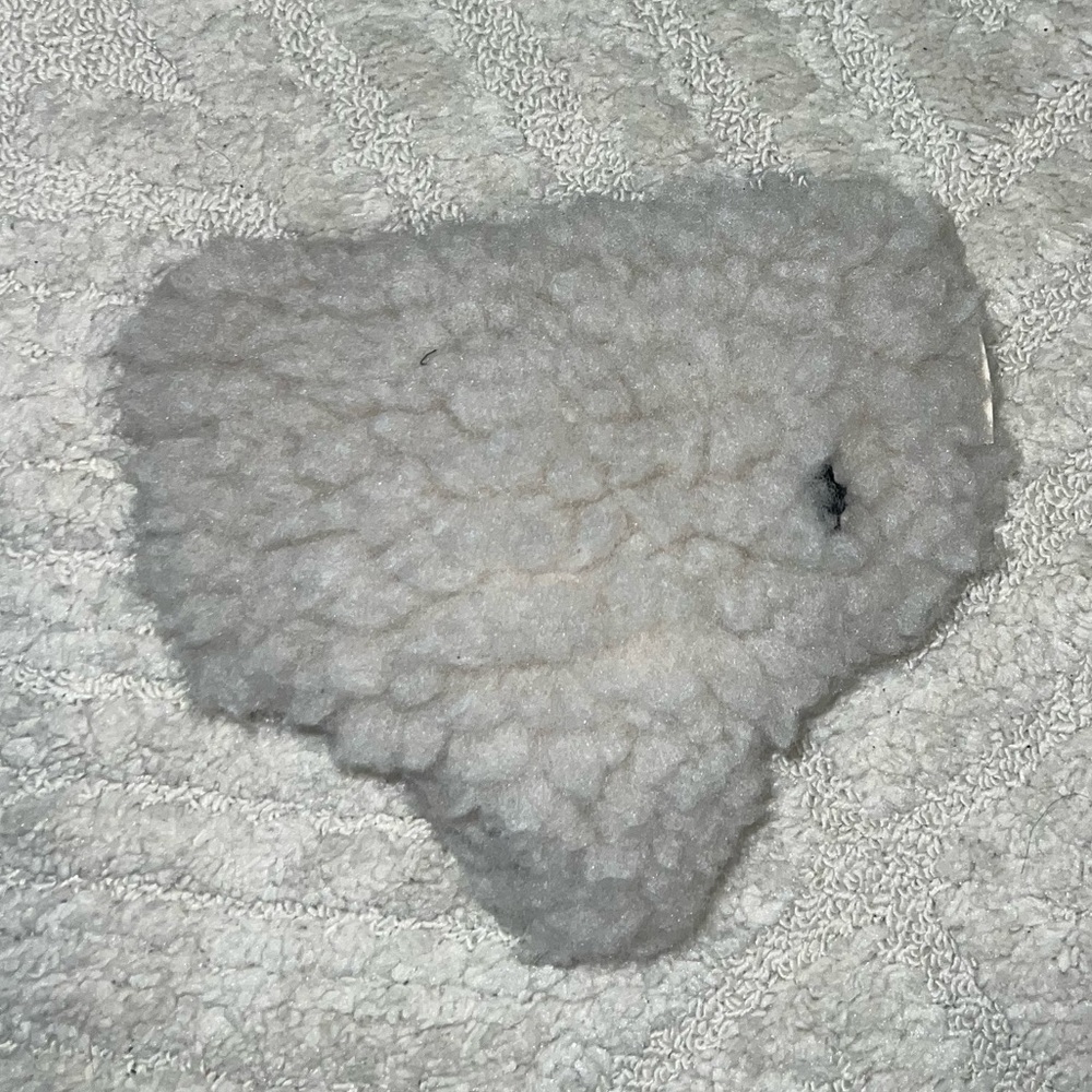 Piupuchick bloomer!